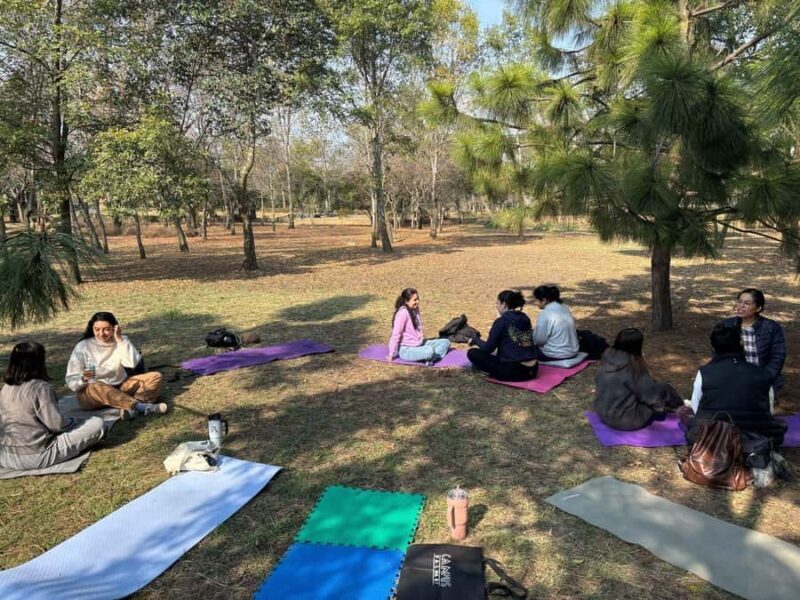 CDMX: Nature Therapy Guided Session - Analyzing the Value