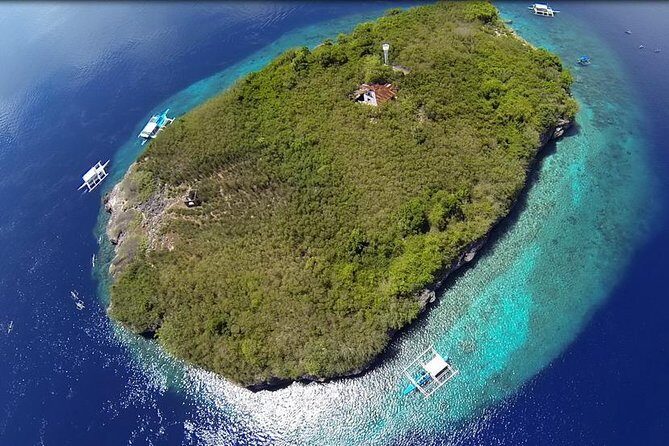 Cebu Moalboal Beach, Sardine Run, Sea Turtle Viewing + Canyoneering Tour - The Itinerary in Detail: What to Expect