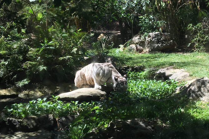 Cebu Safari and Adventure Park - Who is this tour perfect for?