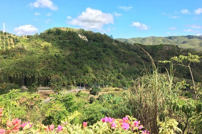 Cebu Safari and Adventure Park - Who Should Consider This Tour