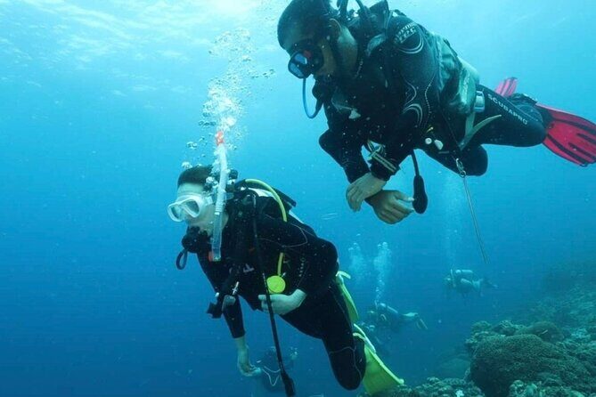 Cebu: Scuba Diving Experience beach entry in Mactan - Why Reviewers Love This Tour