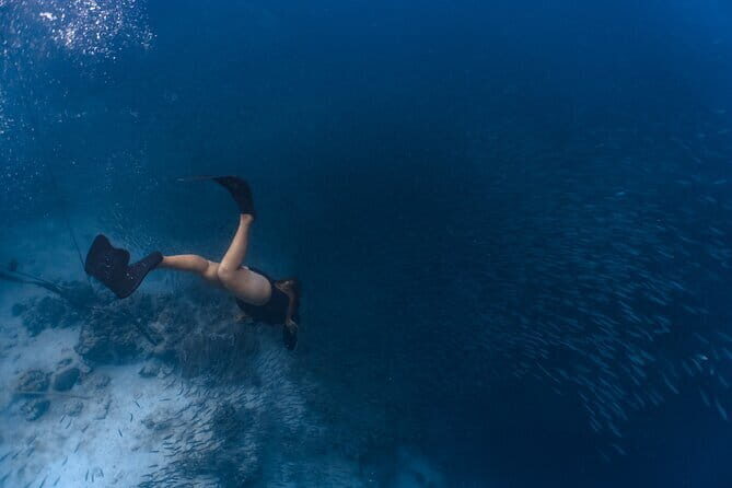 Cebu Ultimate Oslob Whale Shark and Moalboal Turtles Joiner Tour - Moalboal: Sardines, Turtles, and Scenic Coastal Drives