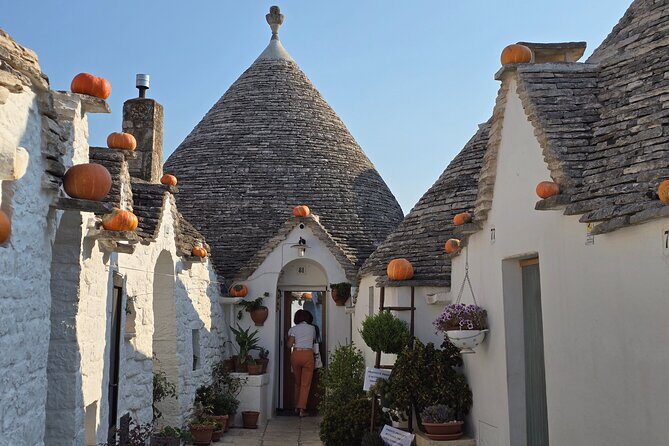 Celebrity Cruise Shore excursion Discover Alberobello and Ostuni - Discover Alberobello and Ostuni: A Balanced Look at a Puglia Shore Excursion