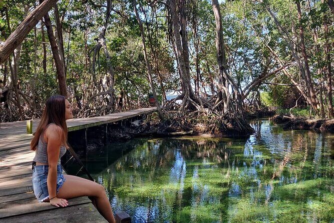 Celestun Beach and Mangrove Boat Ride from Merida - An Authentic Day in Celestún: A Review of the Beach and Mangrove Boat Ride from Merida