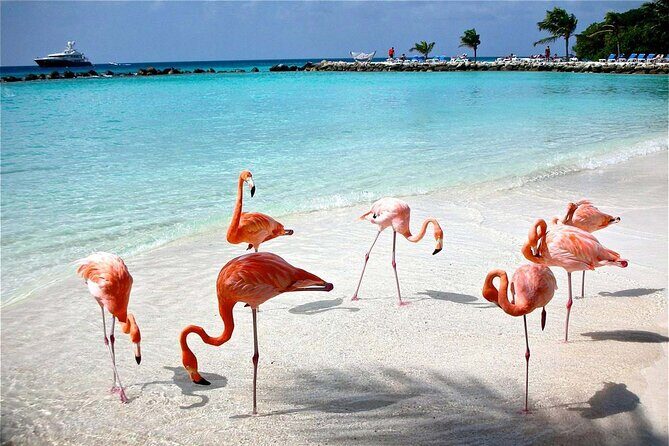 Celestun Beach and Mangrove Boat Ride from Merida - Final Thoughts: Who Is This Tour Best For?