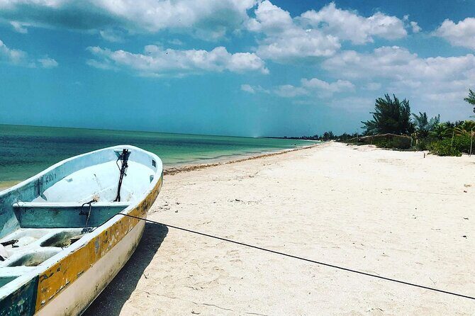 Celestun Beach and Mangrove Boat Ride from Merida - Who Will Love This Tour?