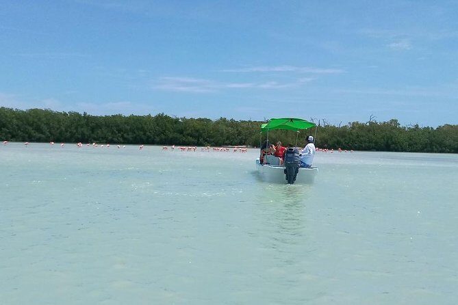 Celestun Biosphere Reserve Tour from Merida - FAQ: Common Questions Answered