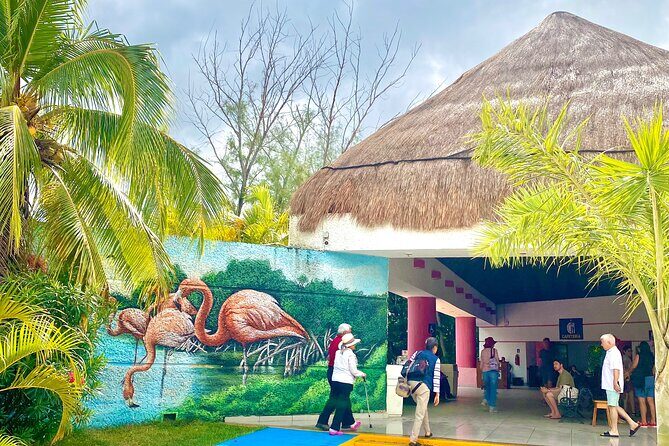 Celestun Flamingos Beach & Seafood Tour departure from Merida - What Travelers Are Saying