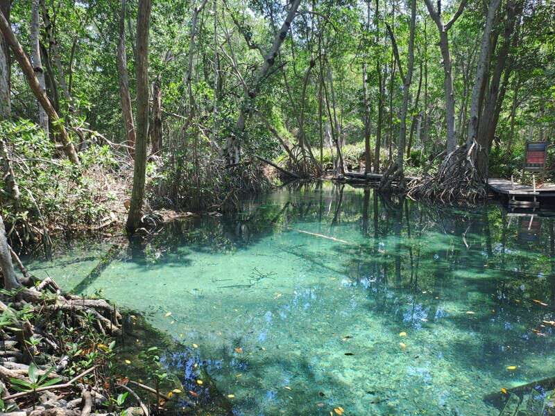 Celestun + Lunch, Boat Ride & beach time. - An In-Depth Look at the Celestun Tour