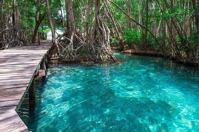 Celestun mangrove boat tour from Mérida - What You’ll Love About This Tour