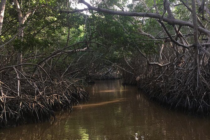Celestun mangrove boat tour from Mérida - FAQ