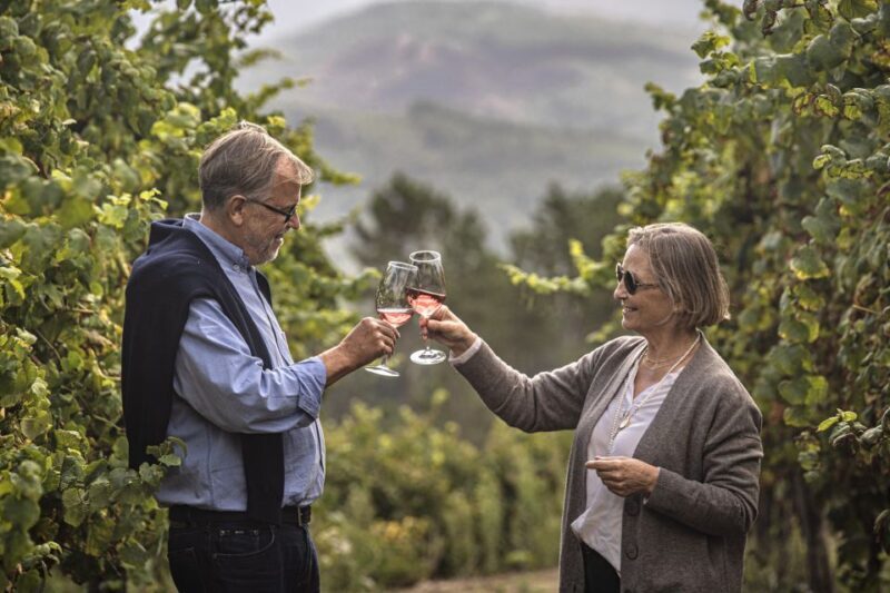 Celorico De Basto: Quinta de Santa Cristina Winery Tour - In-Depth Review of the Quinta de Santa Cristina Winery Tour