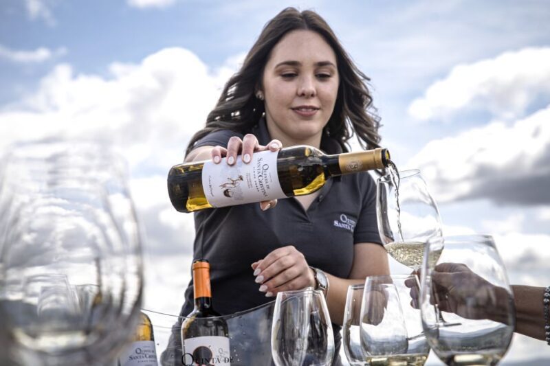 Celorico De Basto: Quinta de Santa Cristina Winery Tour - The Sum Up