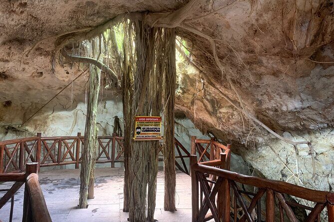 Cenote Adventure Tour - Key Points