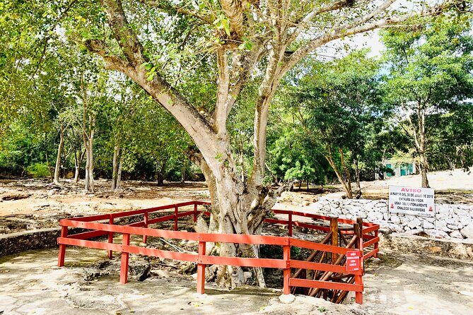 Cenote Adventure Tour - Who Is This Tour Best For?