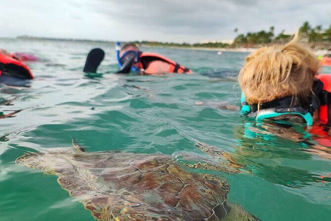 Cenote and Swimming with Turtles Private Tour in Akumal - FAQ