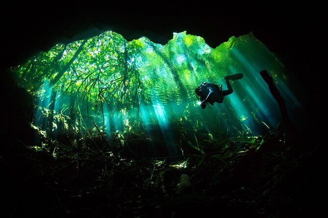 Cenote Diving - 2 Tank Dive Trip for Certified Divers - A Closer Look at the Experience