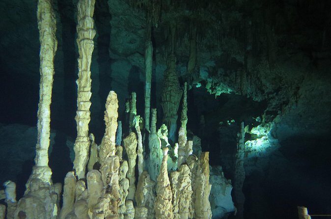 Cenote diving Dream Gate - Price and Value