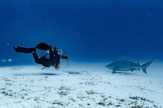 Cenote Diving in Tulum A Thrilling Adventure for Certificates - Analyzing the Value
