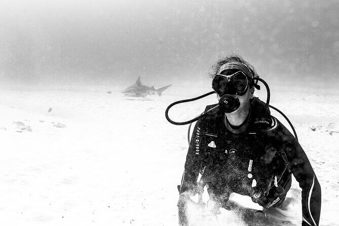 Cenote Diving in Tulum A Thrilling Adventure for Certificates - The Sum Up