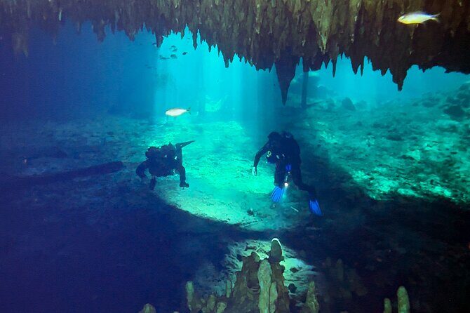 Cenote Dreamgate Guided Scuba Diving - FAQs