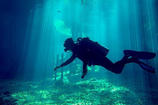 Cenote Dreamgate Guided Scuba Diving - Final Thoughts: Who Will Love This Experience?
