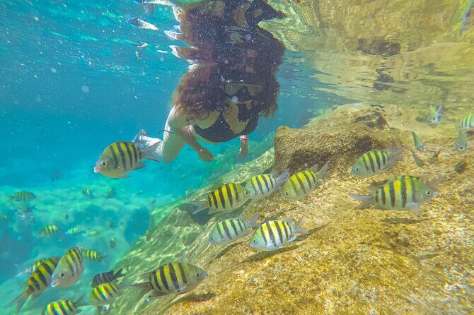 Cenote; Snorkeling and Photos with Colorful Fish - The Tour Experience: What to Expect from Start to Finish