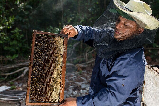 Cenote Tankah and Mayan Village Tour with Zipline, Canoes & Lunch - FAQ