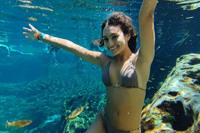 Cenote tour 4 hours - Price and Value