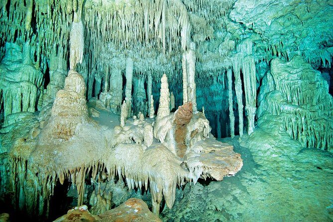 Cenotes 2-Tank Dive in Playa del Carmen/for certified divers only - An In-Depth Look at the Cenotes 2-Tank Dive Experience