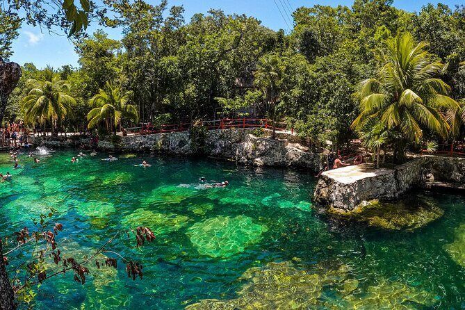 Cenotes Casa Tortuga: 4 Cenotes Day Pass All Inclusive - The Value and Suitability