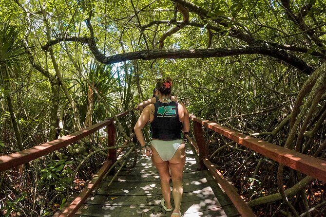 Cenotes Casa Tortuga: 4 Cenotes Day Pass All Inclusive - Final Thoughts