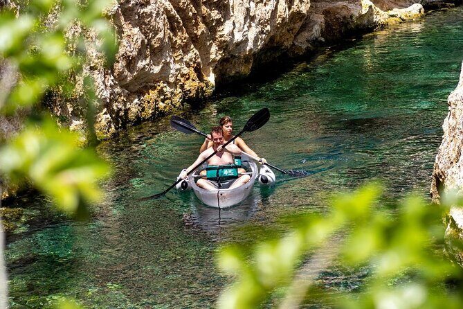 Cenotes Casa Tortuga with Tulum Ruins Day Trip - Authentic Experiences and Traveler Insights