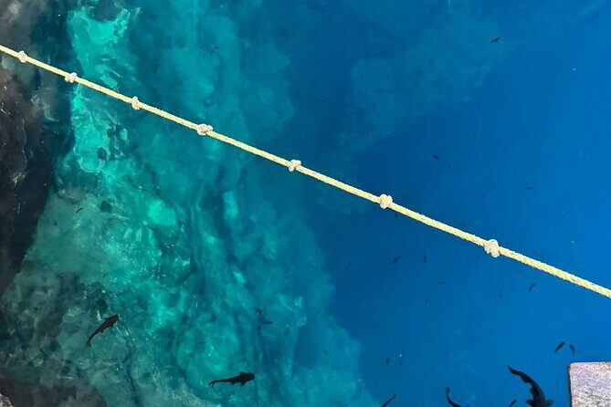 Cenotes, Pink Waters and Chichén Itzá in Tizimin Yucatán México - Authentic Natural and Cultural Encounters