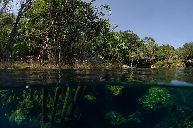 Cenotes snorkeling excursion - Who Will Love This Tour?
