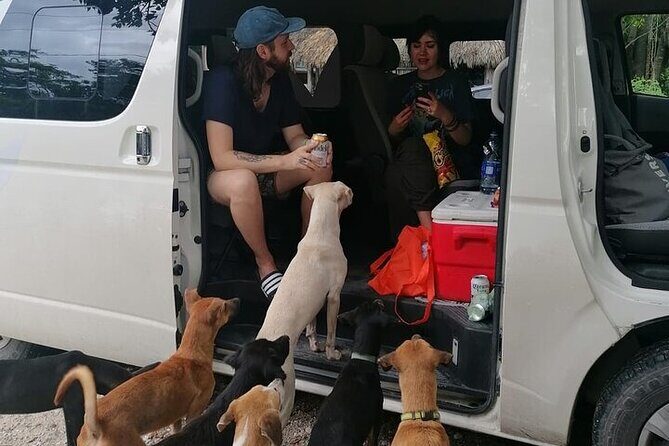 Cenotes Suytun & Valladolid, Private Round Trip and Tickets - Final Thoughts