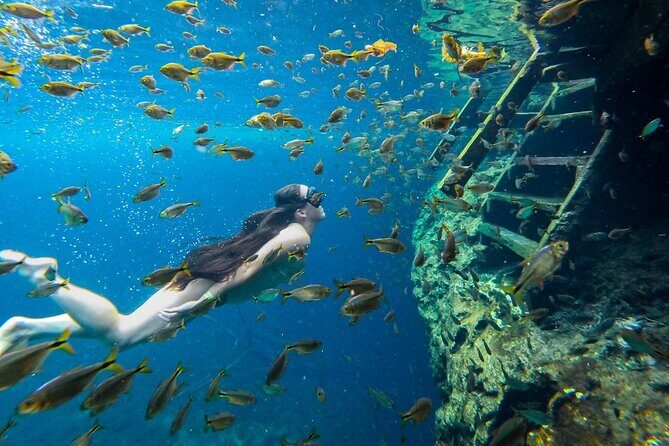 Cenotes Tour: Discover Hidden Gems, from Playa del Carmen - FAQs