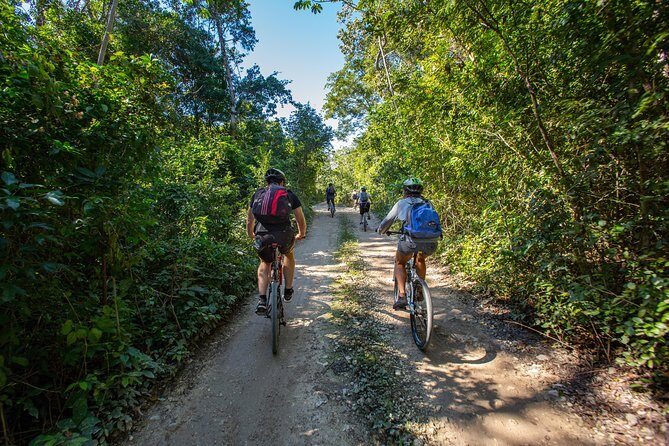Cenotes trail jungle bike tour in Tulum with lunch - Who Will Love This Tour?