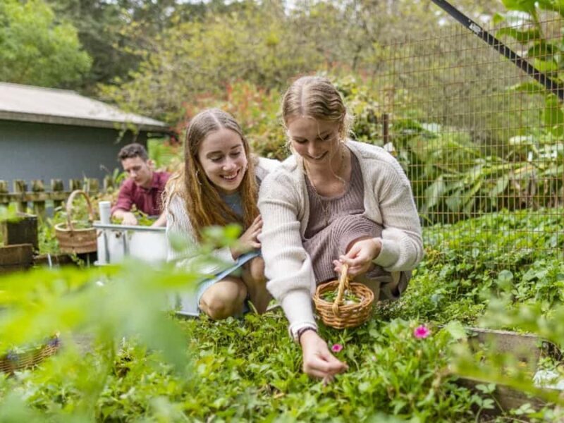 Central Coast Foraging & Mixology Workshop - FAQ