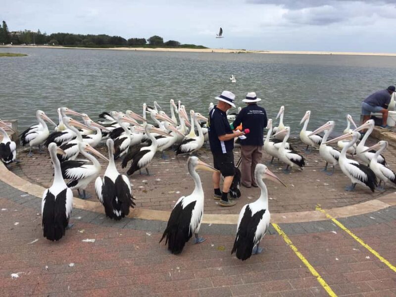 Central Coast Tour - Tasting at Luka Chocolates and Little Creek Cheese Factory