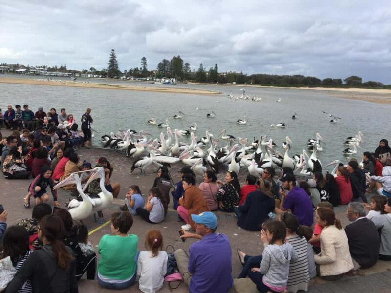 Central Coast Tour - Return Journey to Sydney