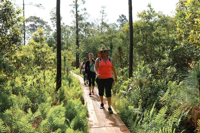 Central Florida Guided Nature Walk and Private Yoga Class - A Detailed Look at What to Expect