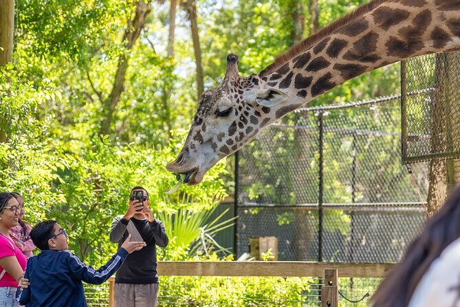 Central Florida Zoo and Botanical Gardens Ticket - An In-Depth Look at the Central Florida Zoo & Botanical Gardens