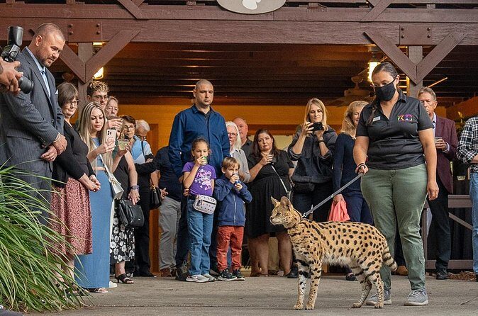 Central Florida Zoo Skip-the-Line Ticket - The Sum Up