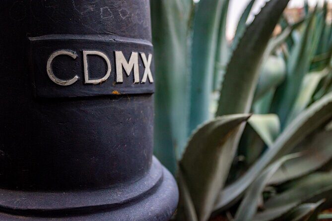 Central Mexico City Private Walking Tour - What Travelers Say