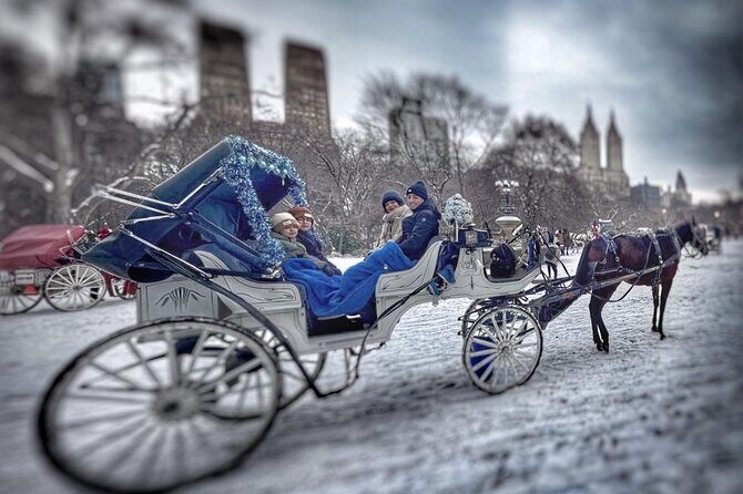 Central Park and NYC Horse Carriage Ride - Who Would Love This Tour?