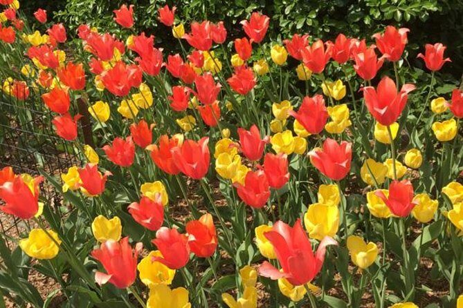 Central Park and Upper East Side Walking Tour - Why This Tour Is a Festival of Manhattan’s Heart