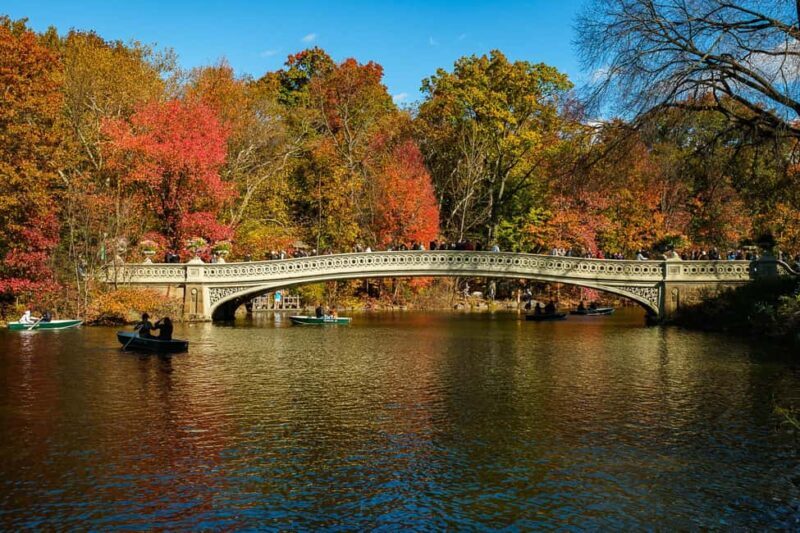 Central Park Guided Bike Tour - Who Will Love This Tour?
