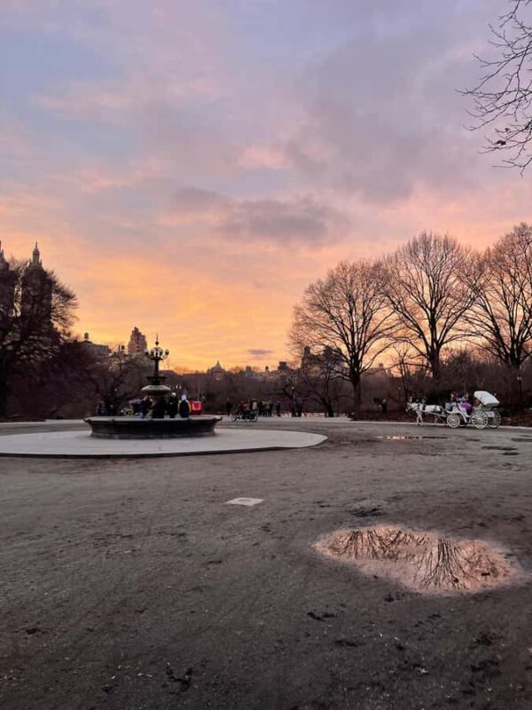 Central Park: Guided Pedicab Tour With Photo Stops - What Makes This Tour Stand Out?