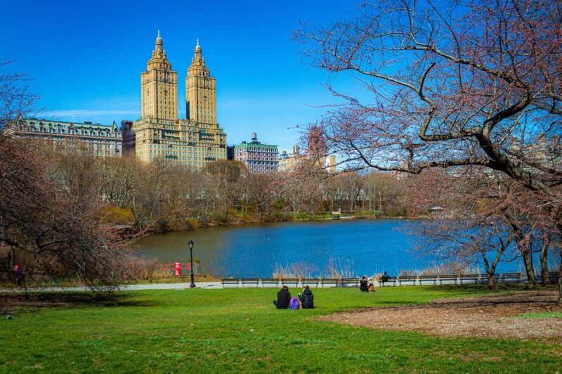 Central Park: Guided Pedicab Tour With Photo Stops - Cost and Value: Is It Worth It?